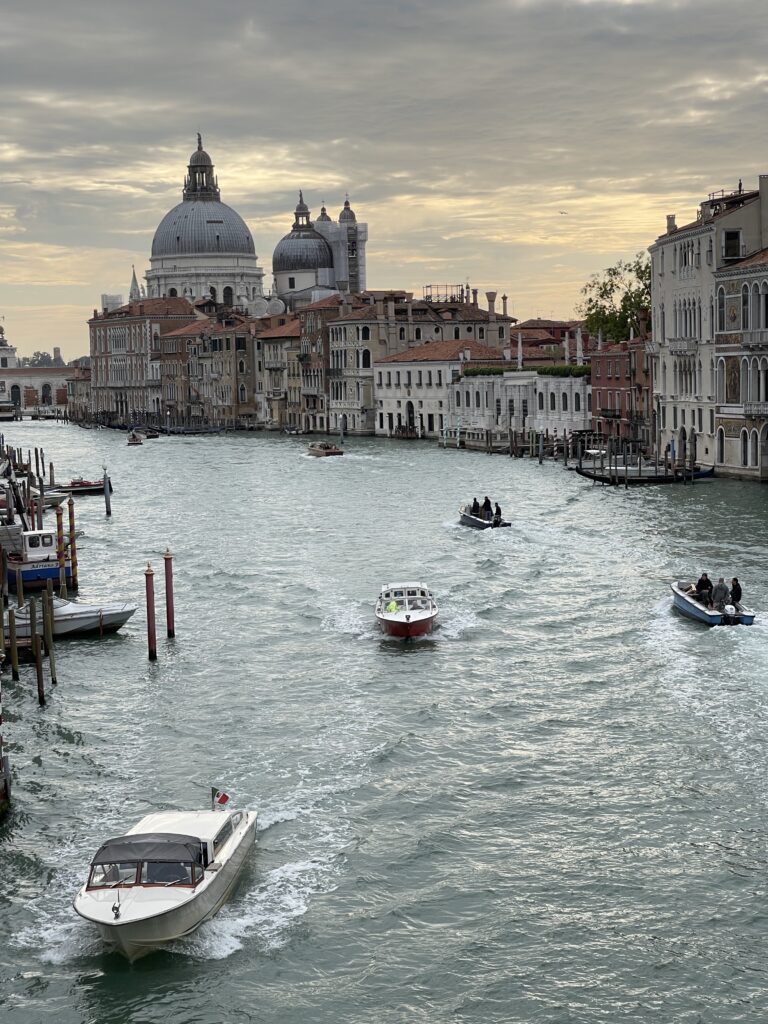 View from Ponte dell'Accademie in Venice, Italy.