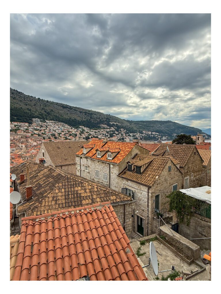 Some brown roofed buildings that escaped the bombings of the Yugoslav war
